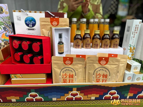 甘南州農特產品促銷暨招商引資活動在成都圓滿舉行，簽署5200萬元工藝美術品及禮儀用品供銷協議